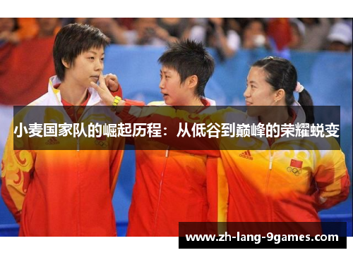 小麦国家队的崛起历程：从低谷到巅峰的荣耀蜕变